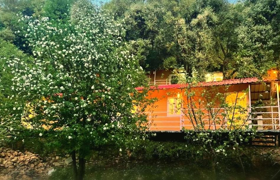 Aamod At Shoghi Luxury Cottage Resort ชิมลา ภายนอก รูปภาพ